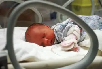 Premature baby sleeping in incubator.