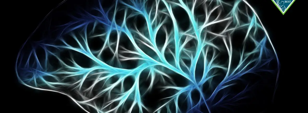 Abstract brain, glowing neural network.