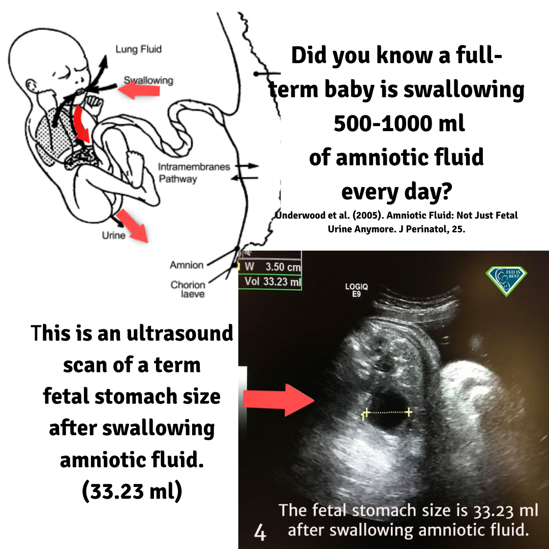 Newborns Have Small Stomachs