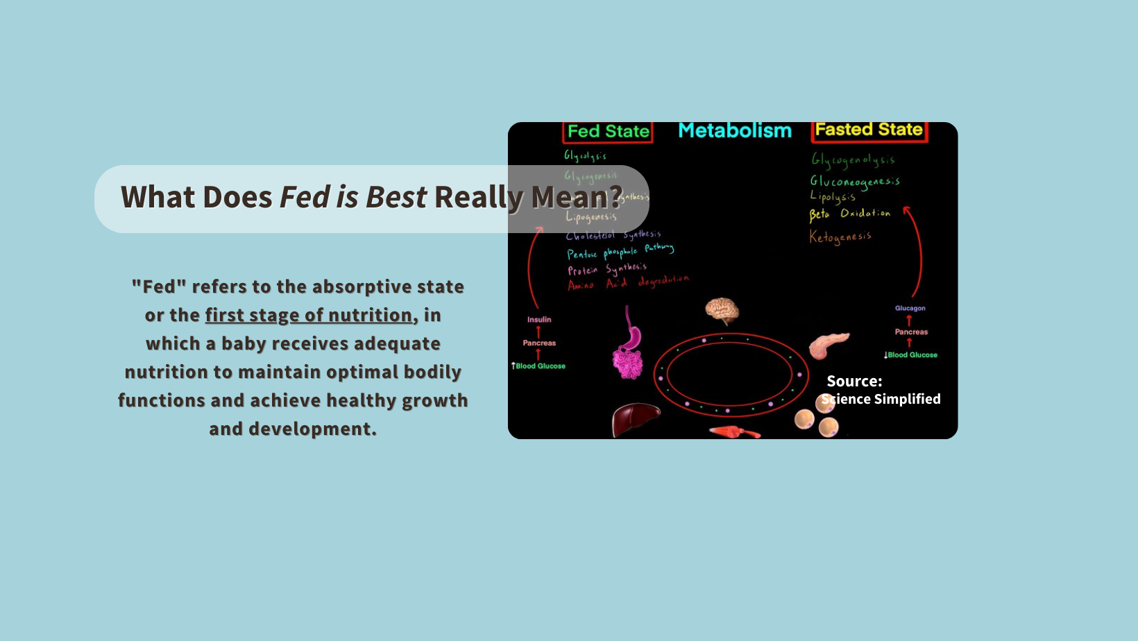 what-does-fed-is-best-mean-fed-is-best